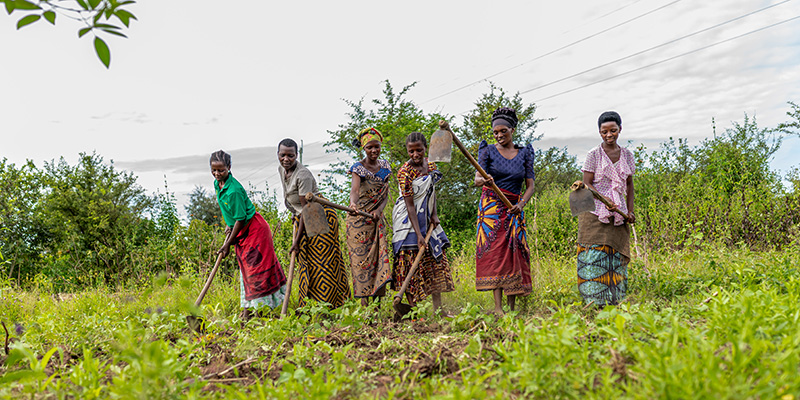 Ouders uit Tanzania werken op het land. 